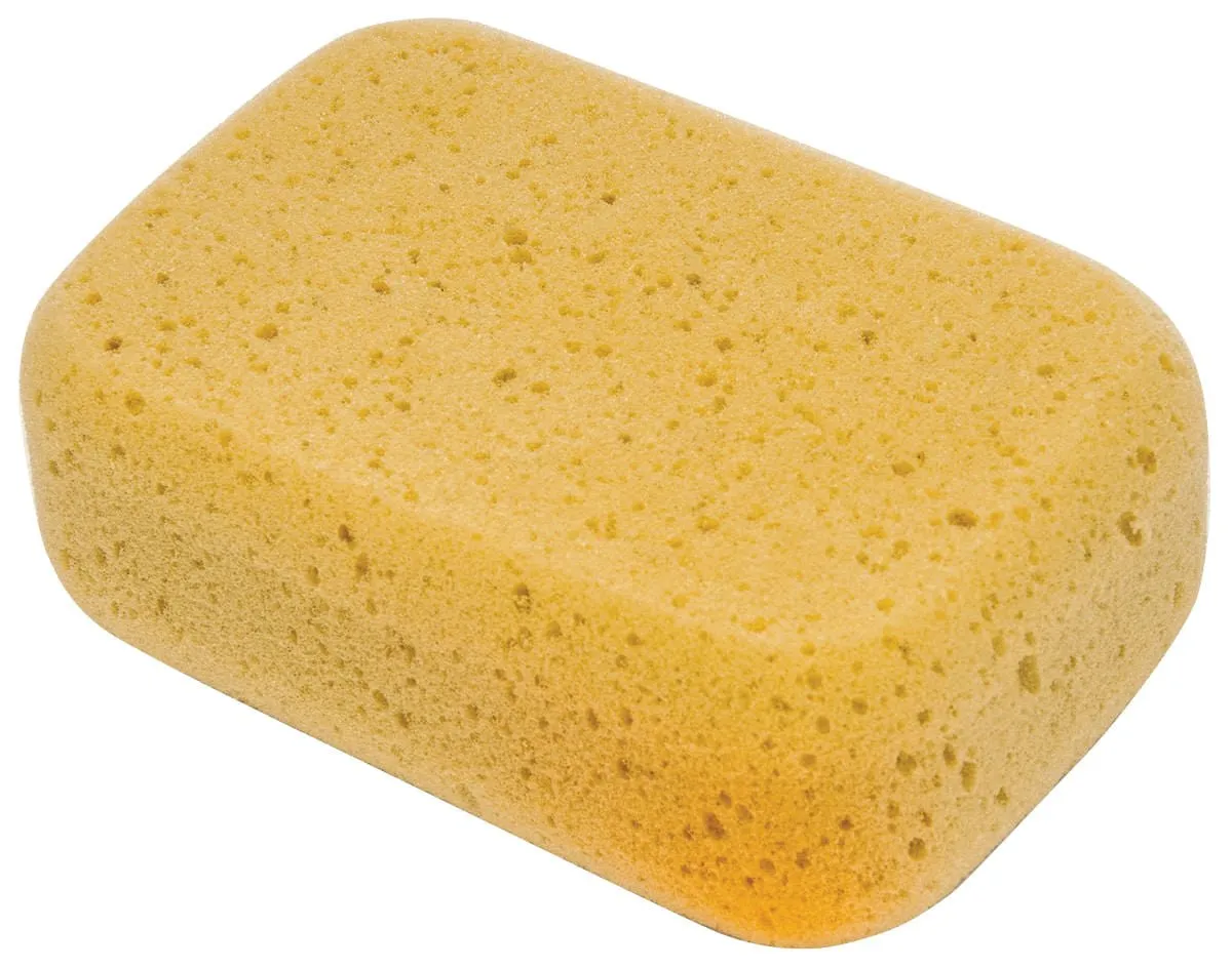 Sponges