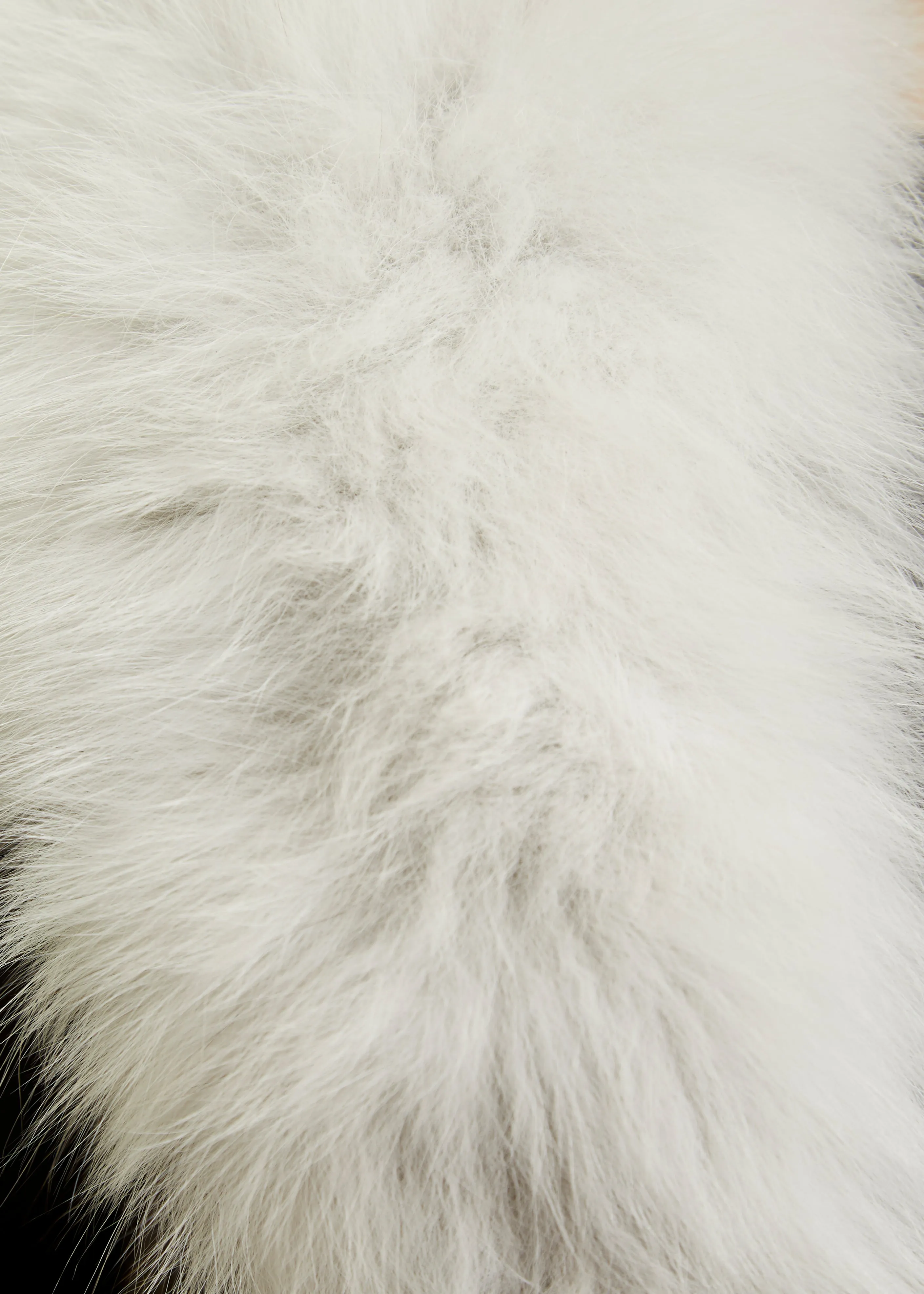 White Genuine Fox Fur Collar